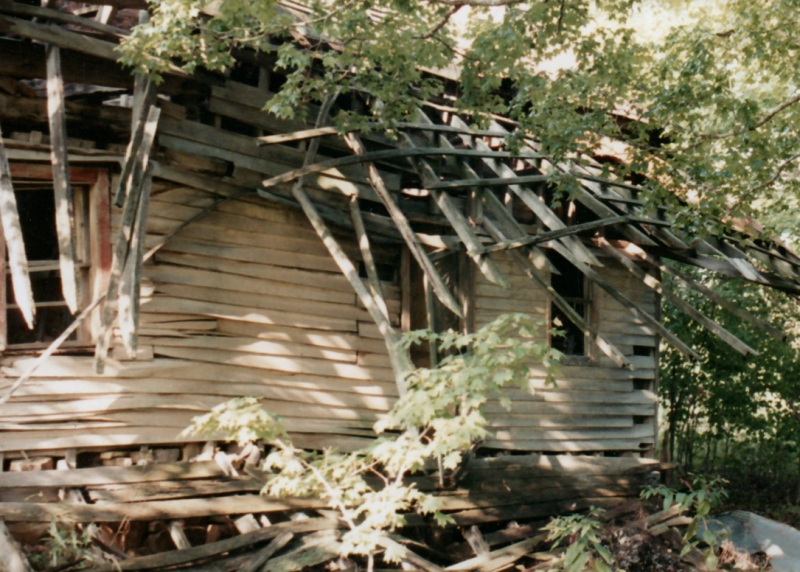 Farm_0154_a