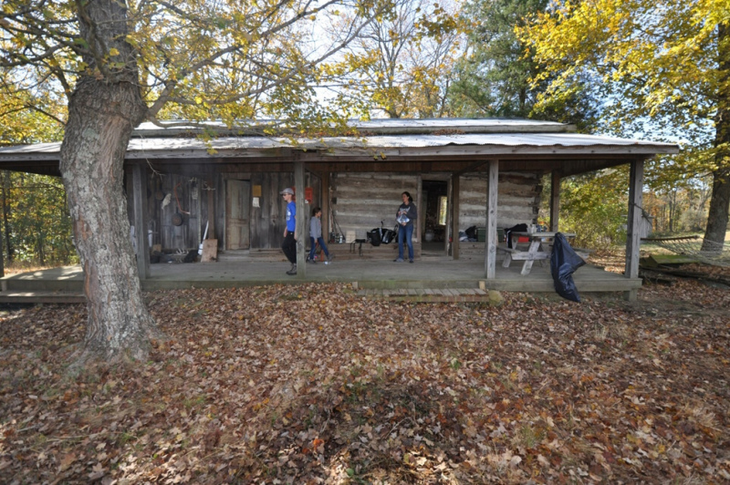 cabinnew