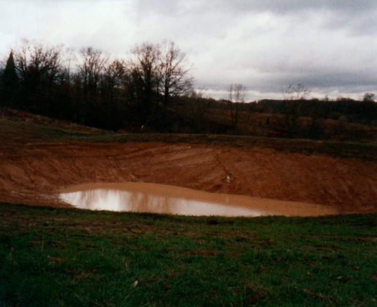 Farm_0198_a