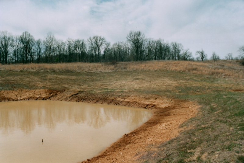 Farm_0206_a