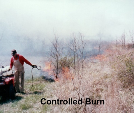 controlledburn