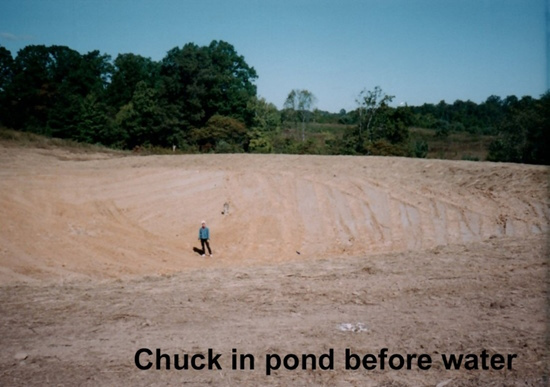 pond1